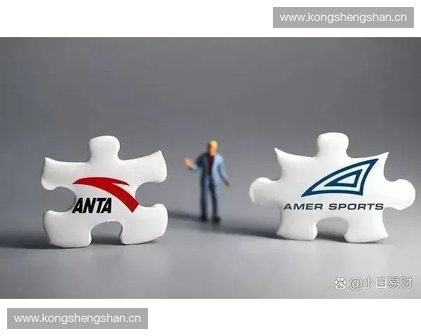 体育品牌管理创新策略与市场竞争力提升路径分析