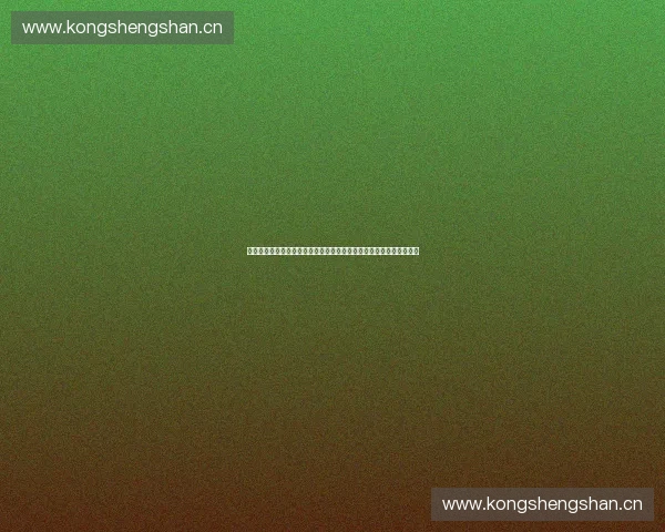 以比赛运营为核心的赛事管理与组织创新实践探索研究路径与模式分析